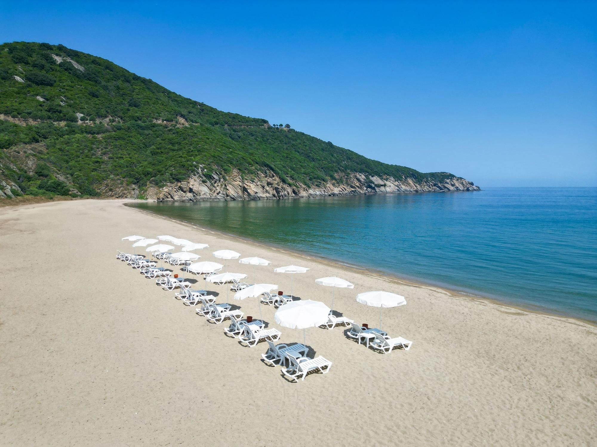 Playa MUKHA ORMANLİ