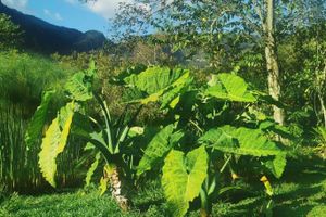 Alojamiento - Goctamarca Lodge