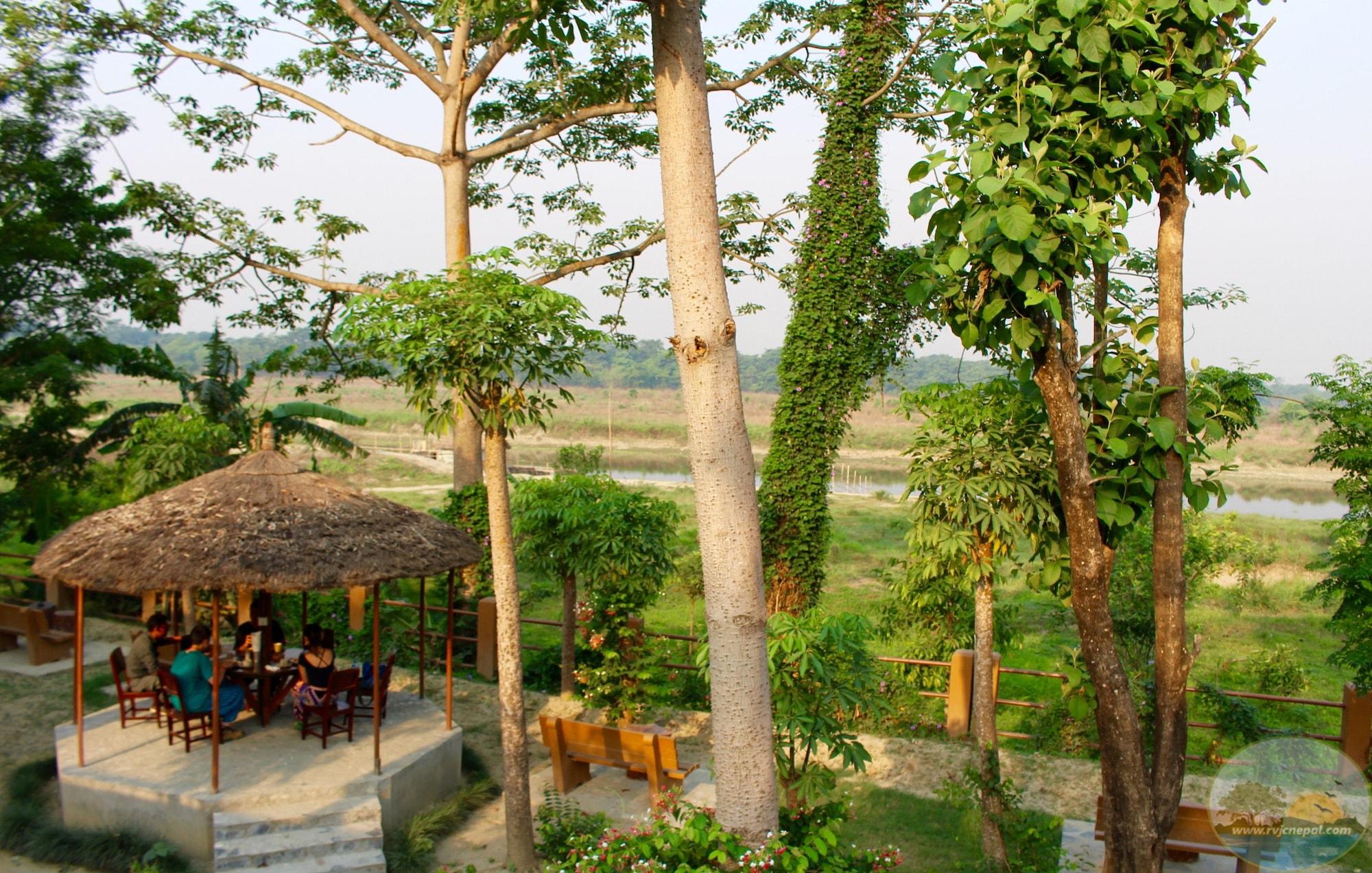 Vista Exterior River View Jungle Camp