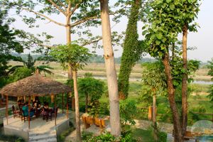 Alojamiento - River View Jungle Camp