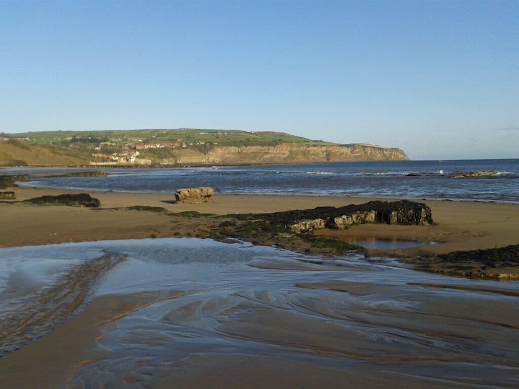 Playa Thorpe Green House Vegetarian Bed and Breakfast