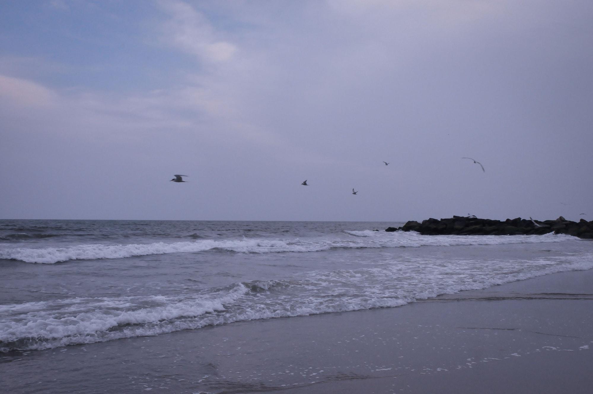Playa AnYi Guesthouse JFK