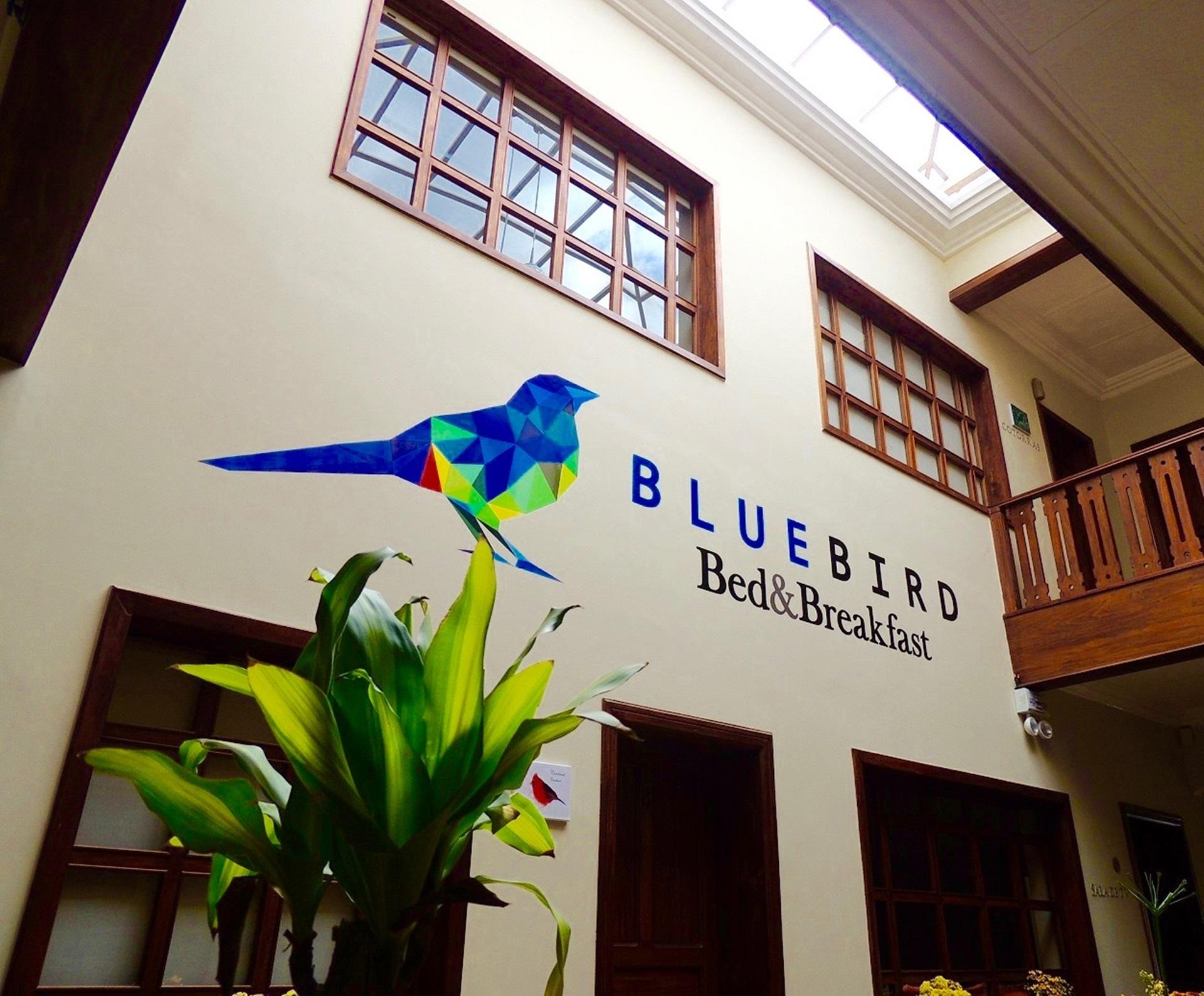 Vista Exterior Blue Bird Bed&Breakfast