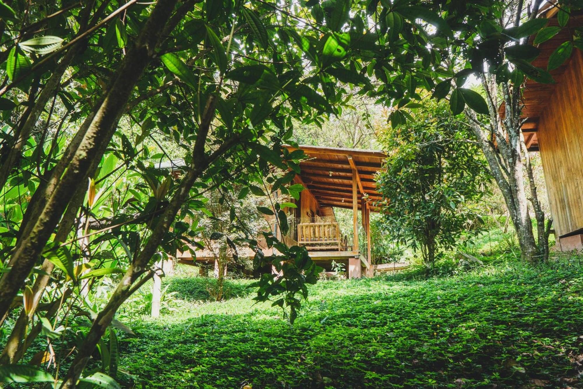 Comodidades del Alojamiento Piripe Wellness Lodge