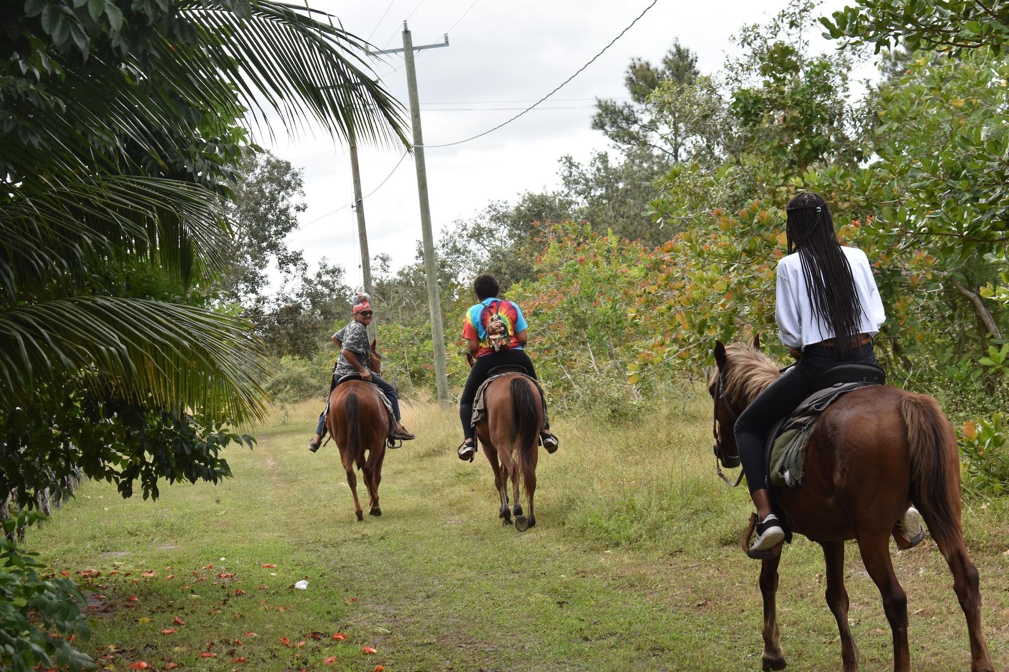 Instalaciones Recreativas Becks Bed and Breakfast