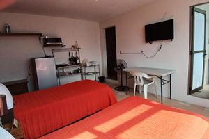 Alquiler Vacacional - Suite Azalea