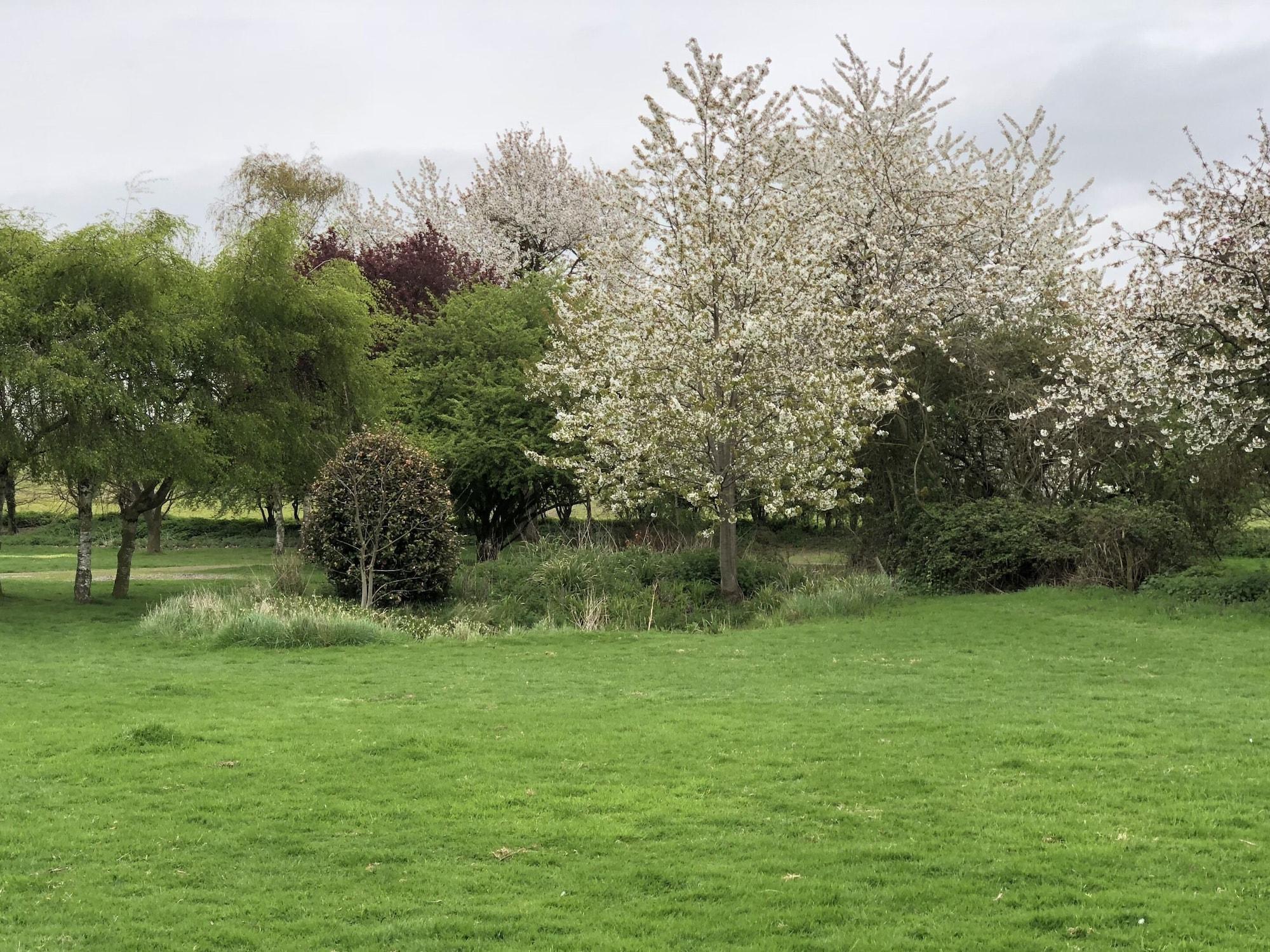 Vista Exterior Sibton White Horse Inn