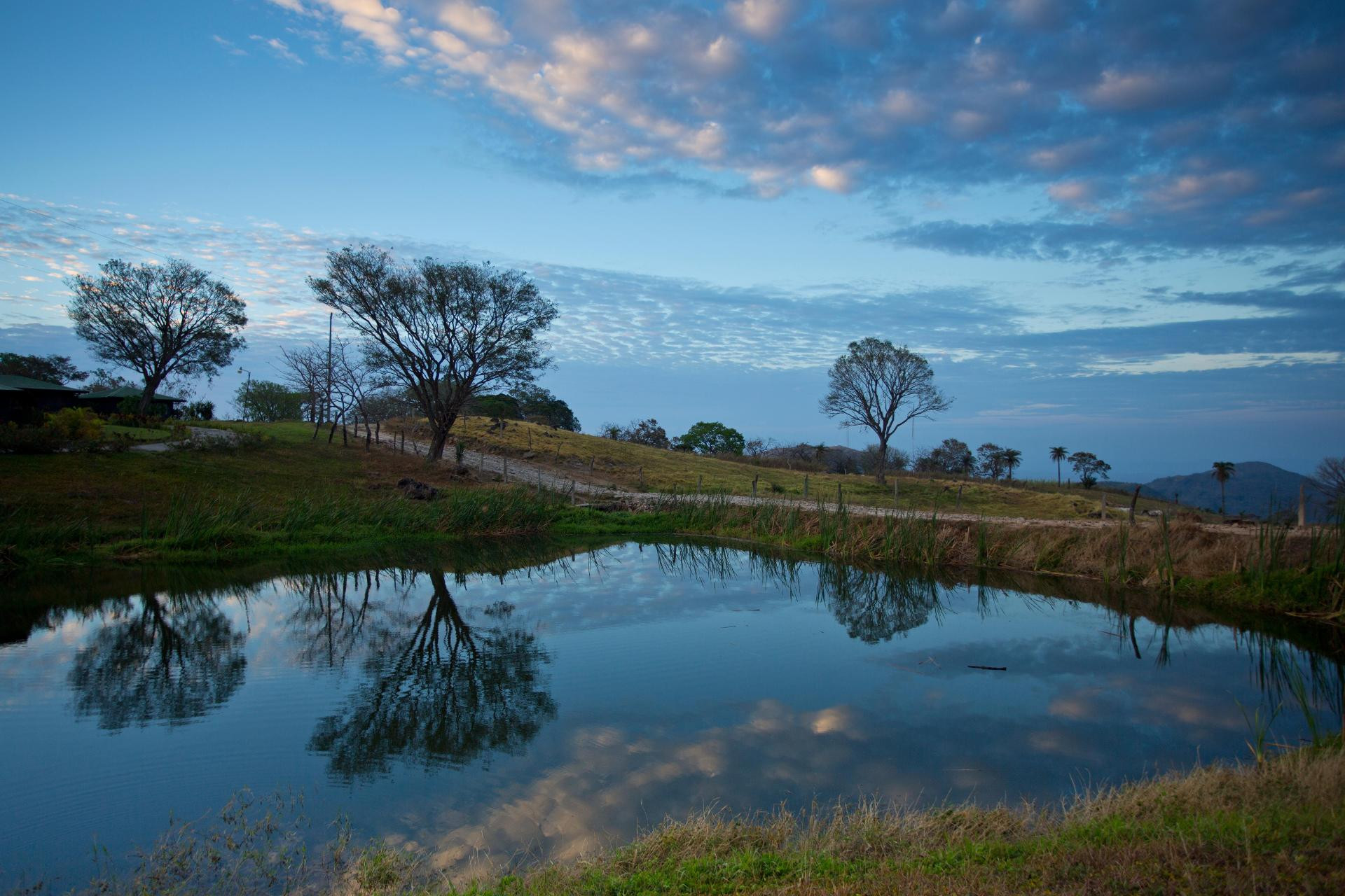 Vista Exterior Buena Vista del Rincon Eco Adventure Park, Hotel & Spa