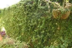 Alojamiento - Hotel Santa Lucia