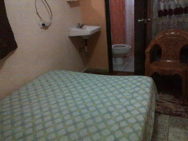 Habitación Tamarindo Hostel