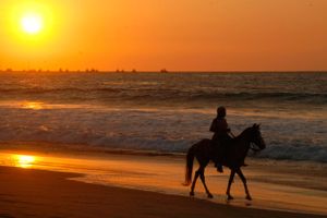 Paquete - Hospedaje La Quebrada - Mancora - Perú