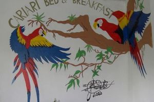 Alojamiento - The Cariari Bed and Breakfast