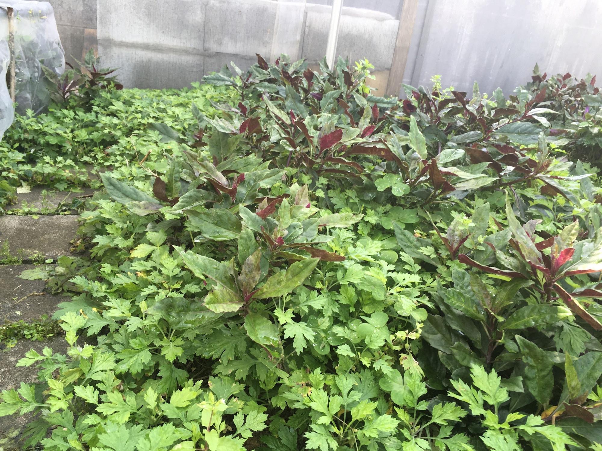 Equipamiento de Habitación Yuntaku ya