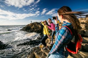 Actividad - Tour de un día: Dark Hedges, Giants Causeway y Ciudad de Belfast