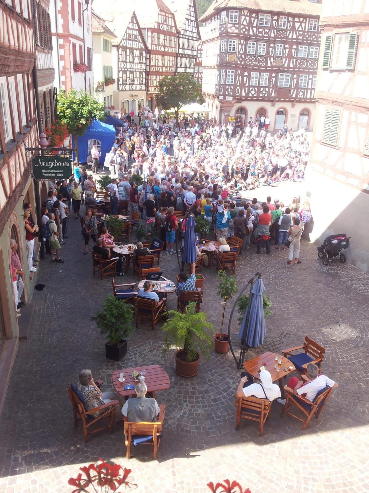 Vista Exterior Hotel Schwanen