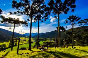 Alquiler Vacacional - Villa das Araucárias - Urubici/SC