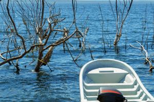 Actividad - Excursión al lago Enriquillo con avistamiento de cocodrilos