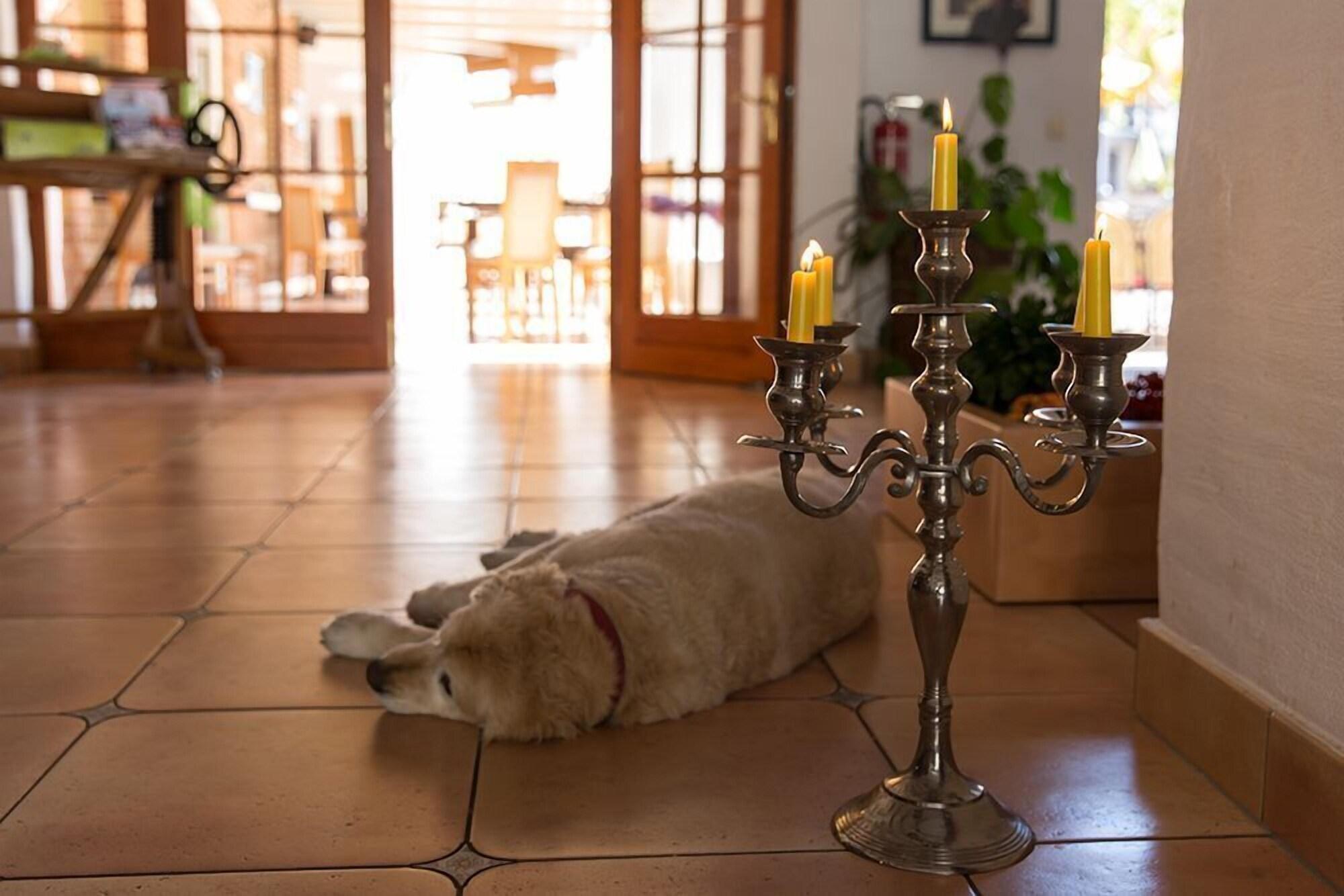 Vista Lobby Hotel und Restaurant Mühlenhof