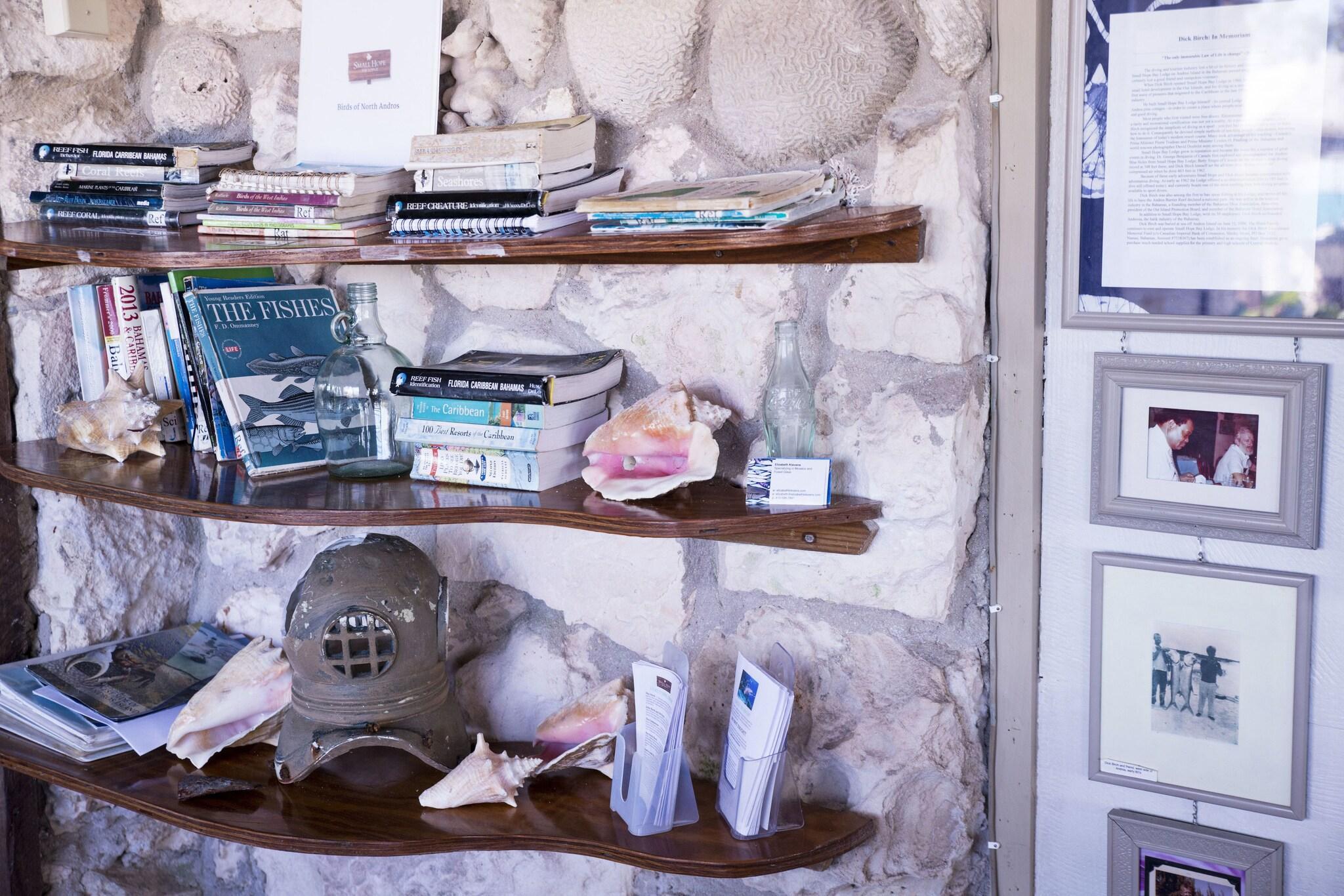 Vista Lobby Small Hope Bay Lodge