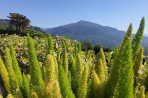 Alojamiento - Loup Castel Boutique Hotel B&B