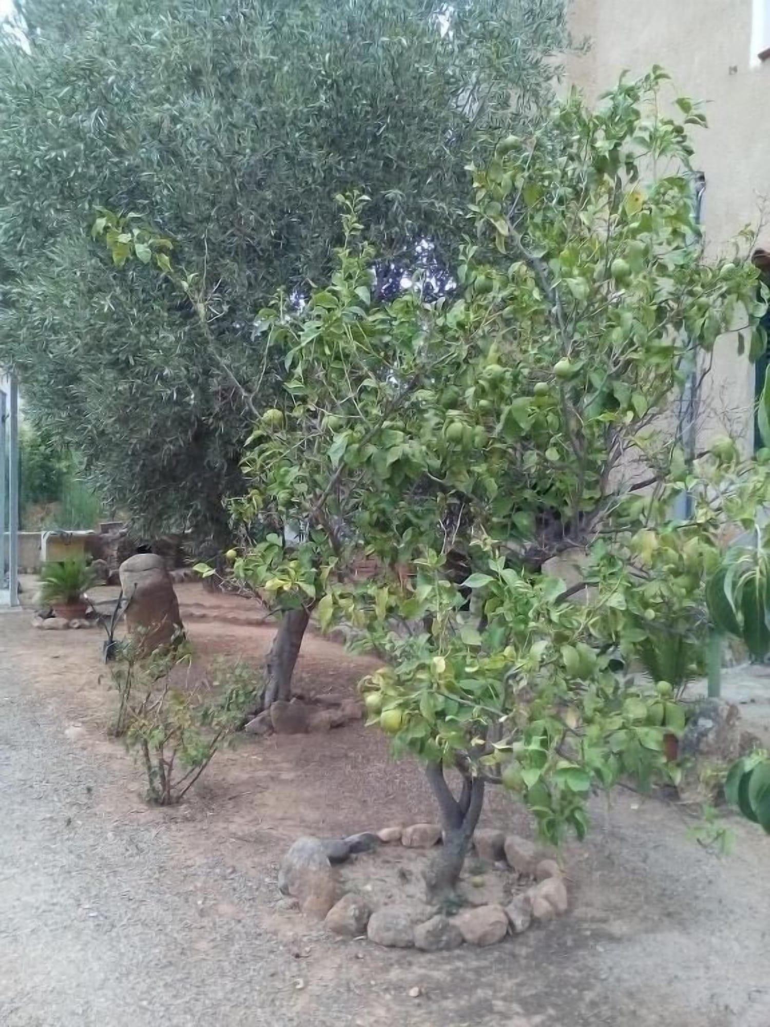 Vista Exterior B&B Il Vigneto