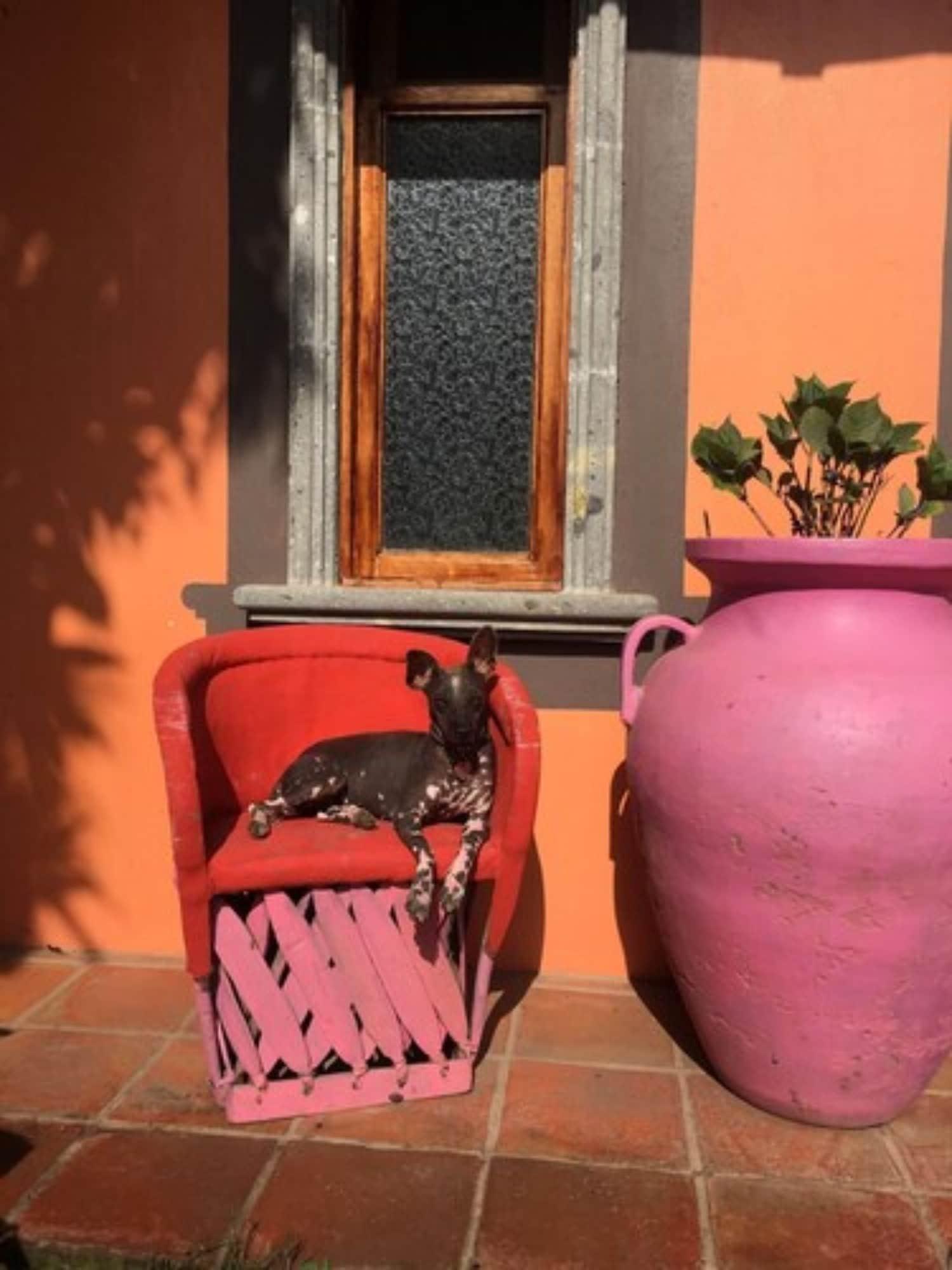 Vista Exterior Santa Lucia Hotel Boutique