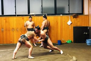 Actividad - Vea la práctica matutina en un establo de sumo (visita para grupos pequeños)
