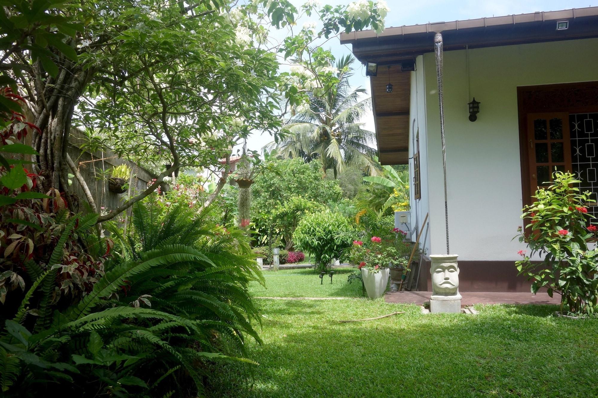 Comodidades del Alojamiento Manel Guesthouse