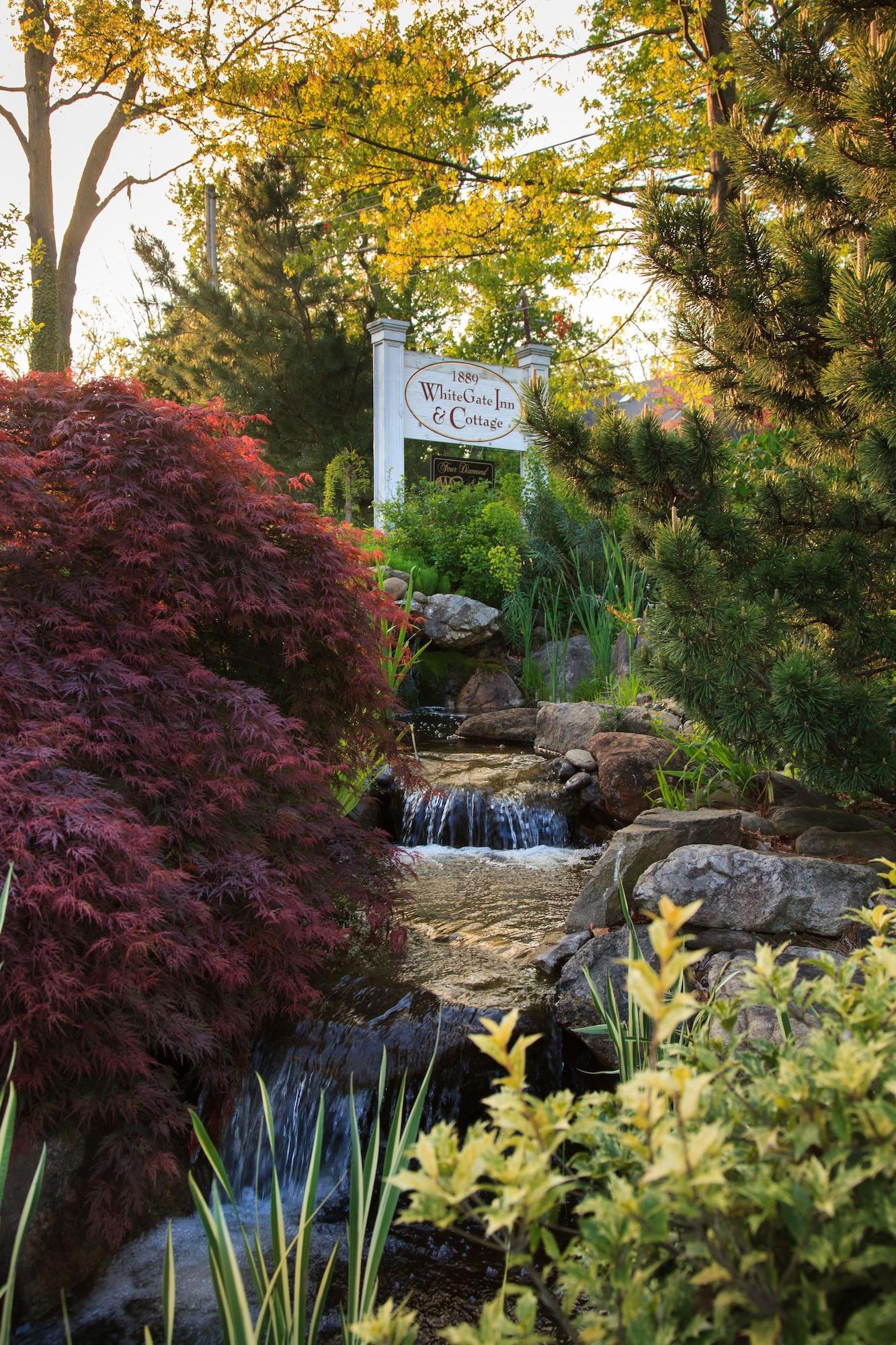 Vista Exterior Blind Tiger Asheville