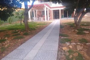 Alojamiento - Hostal Los Mangos