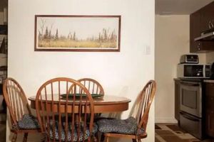 Alquiler Vacacional - 5 Star Basement Apartments #5