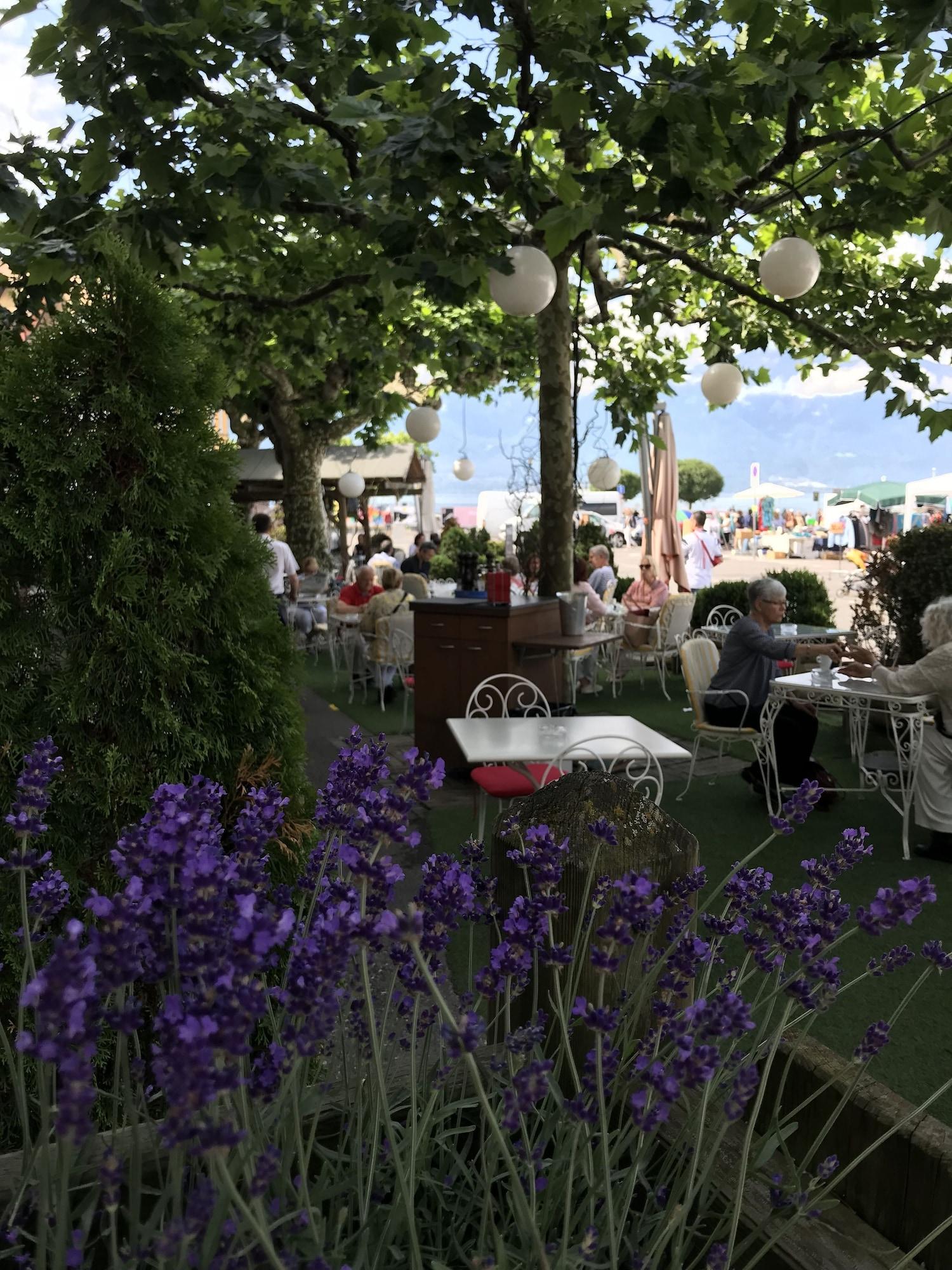 Comodidades del Alojamiento Hostellerie de Genève