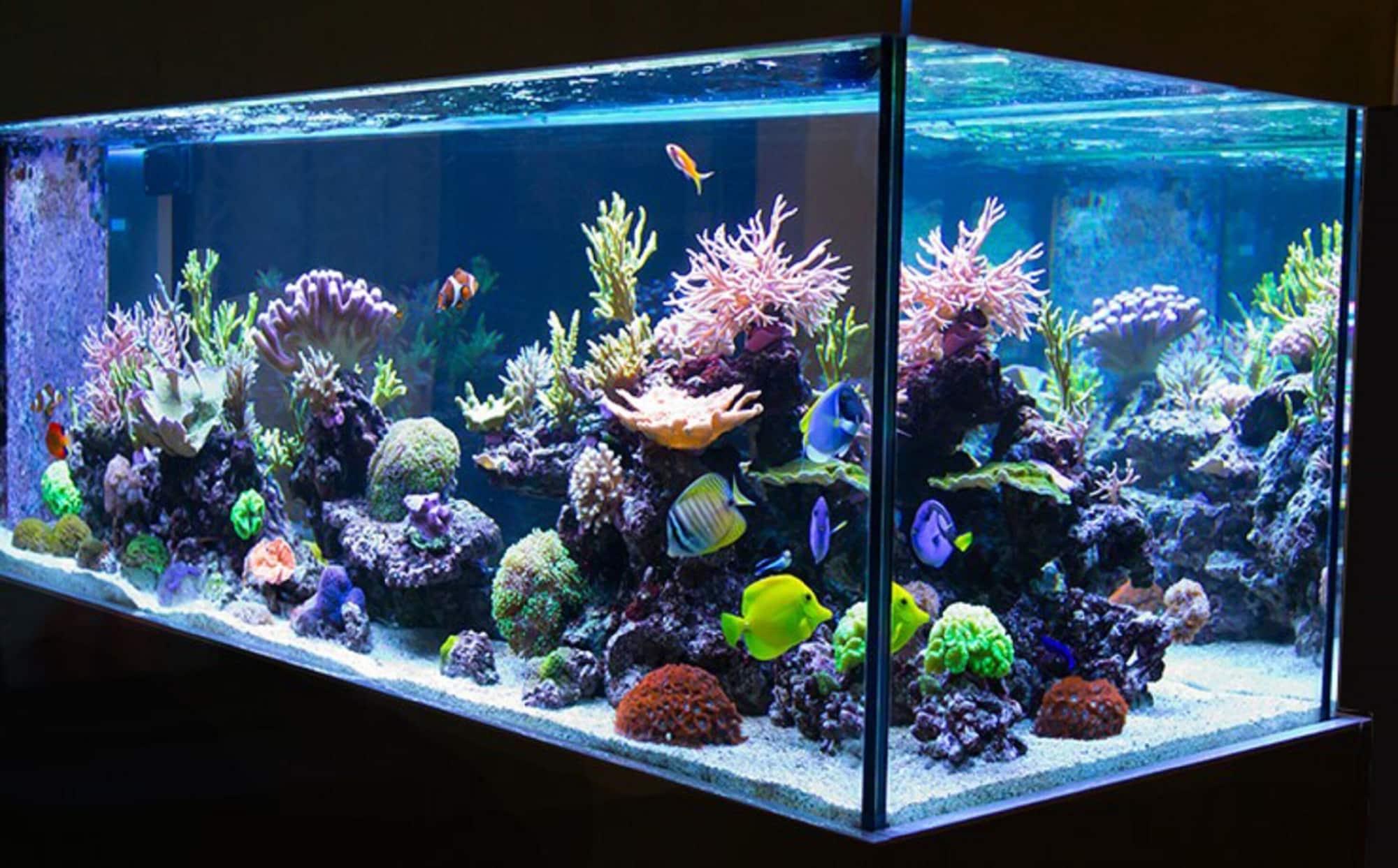 Vista Lobby HOTEL THE HOTEL Shinjuku Kabukicho - Adults Only