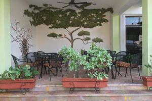 Hoteles a Pie de Playa en Cozumel Todo Incluido