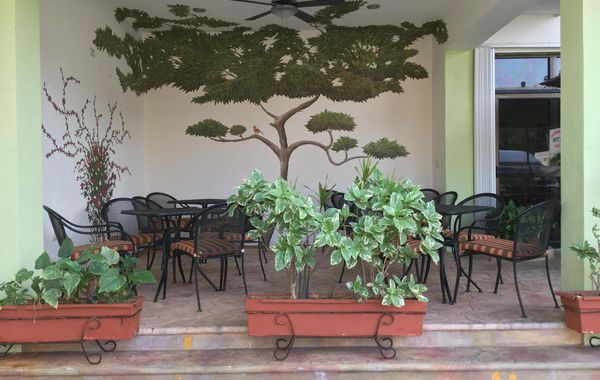 Hotel Plaza Cozumel - Hoteles con desayuno en Cozumel, México