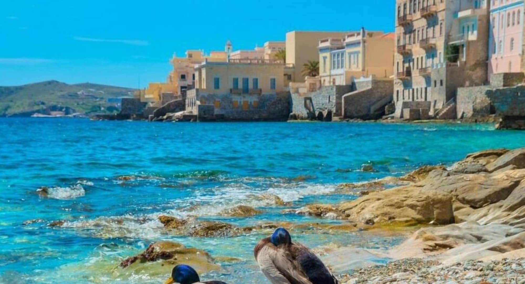 Playa Diogenis Hotel