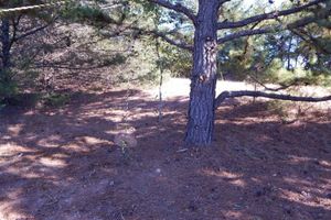 Alquiler Vacacional - Cowboy Cabin @ Rock'n O Ranch Cabins