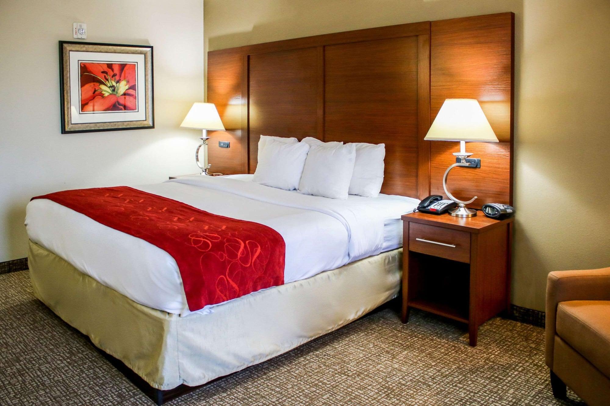 Habitación Comfort Suites At Virginia Center Commons