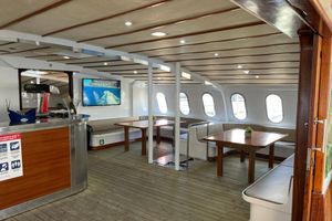 Actividad - Travesía en el catamarán Supercat