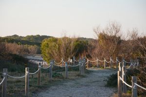 Alojamiento - You&Co.Saler Beach Boutique
