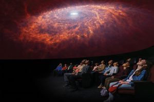 Actividad - Museo Americano de Historia Natural - Entrada