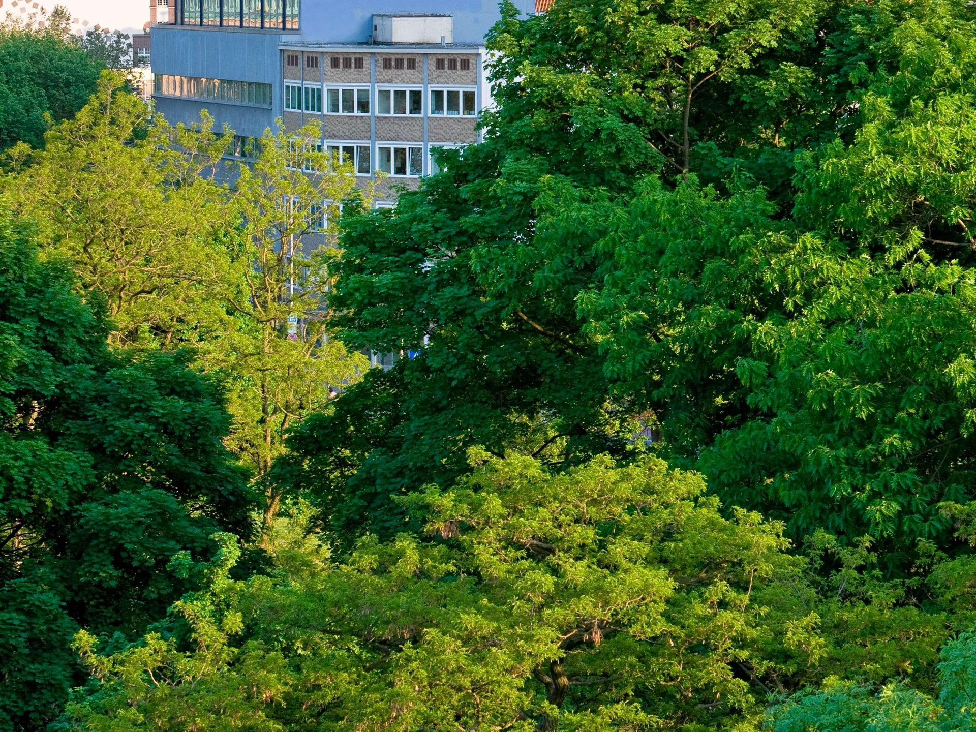 Instalaciones Recreativas Ibis Budget Hannover Hauptbahnhof