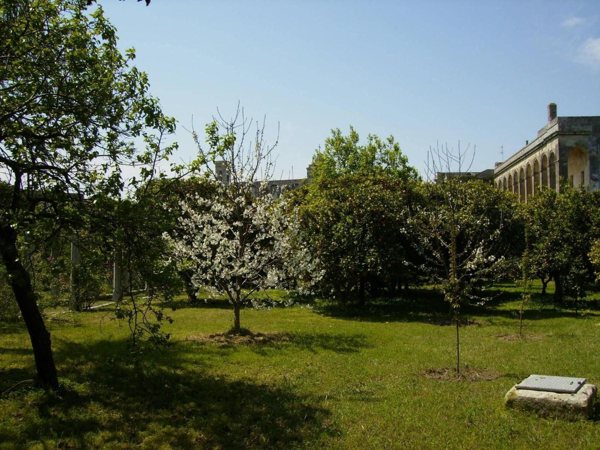 Comodidades del Alojamiento B&B Antico Aranceto