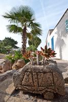 Alojamiento - Miramare Residence