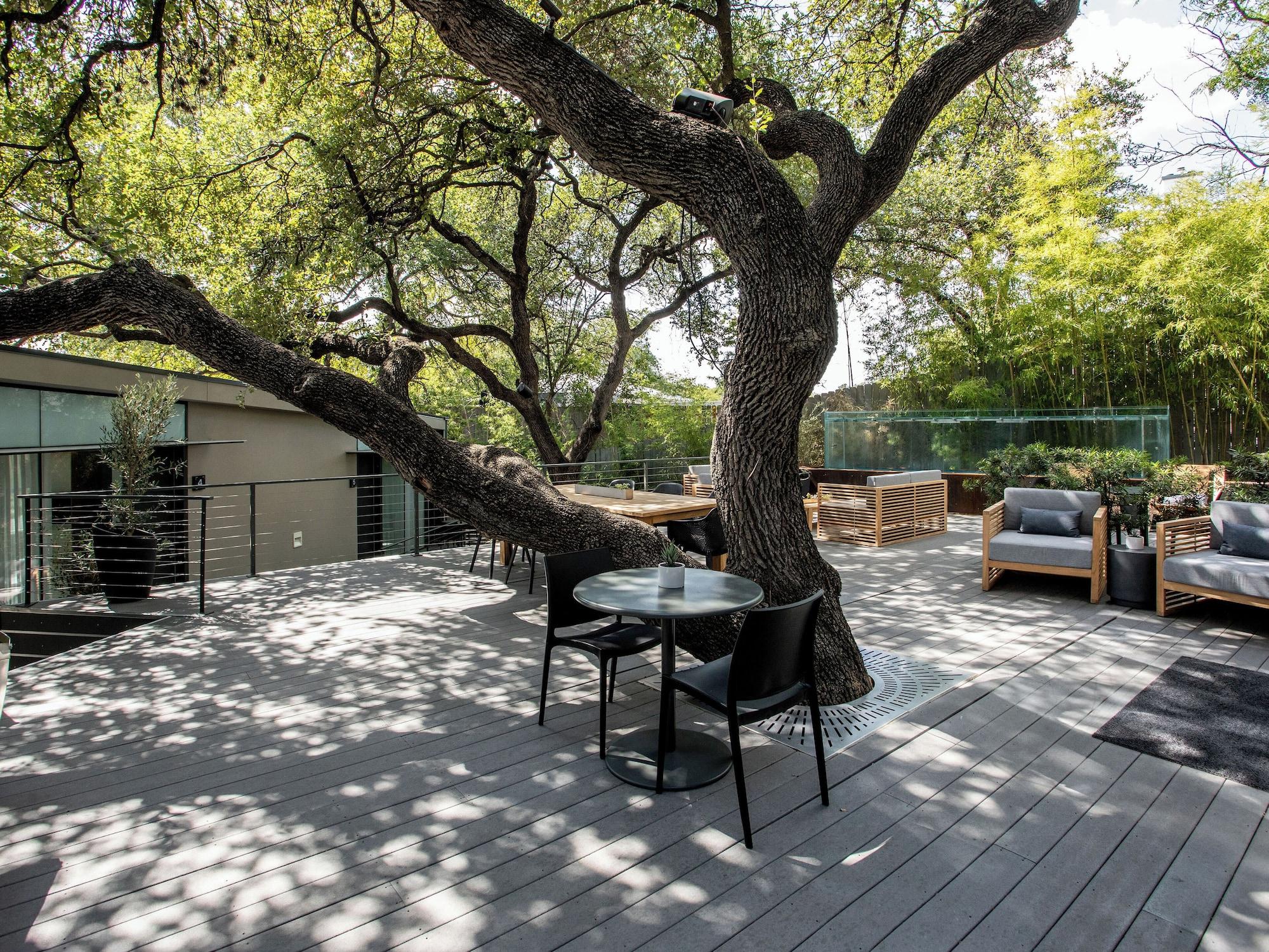 Vista Exterior Frame Hotel - Treehouse