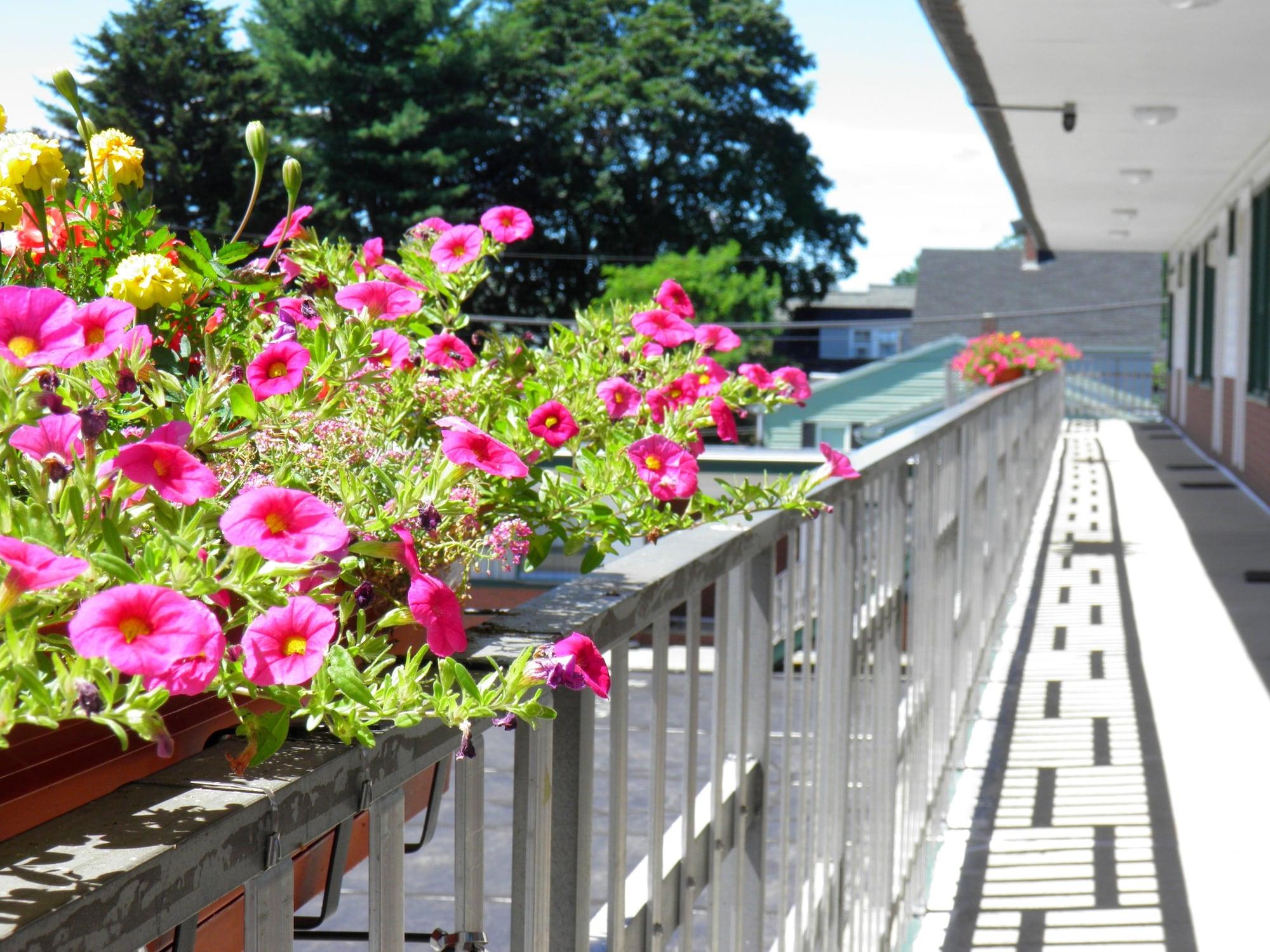 Vista Exterior Travelers Inn