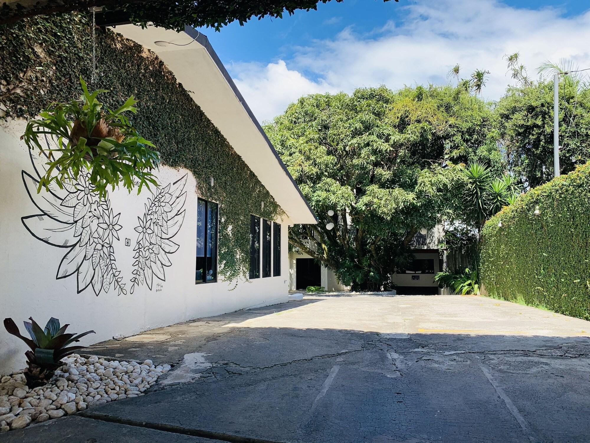 Vista Exterior Hotel Mango