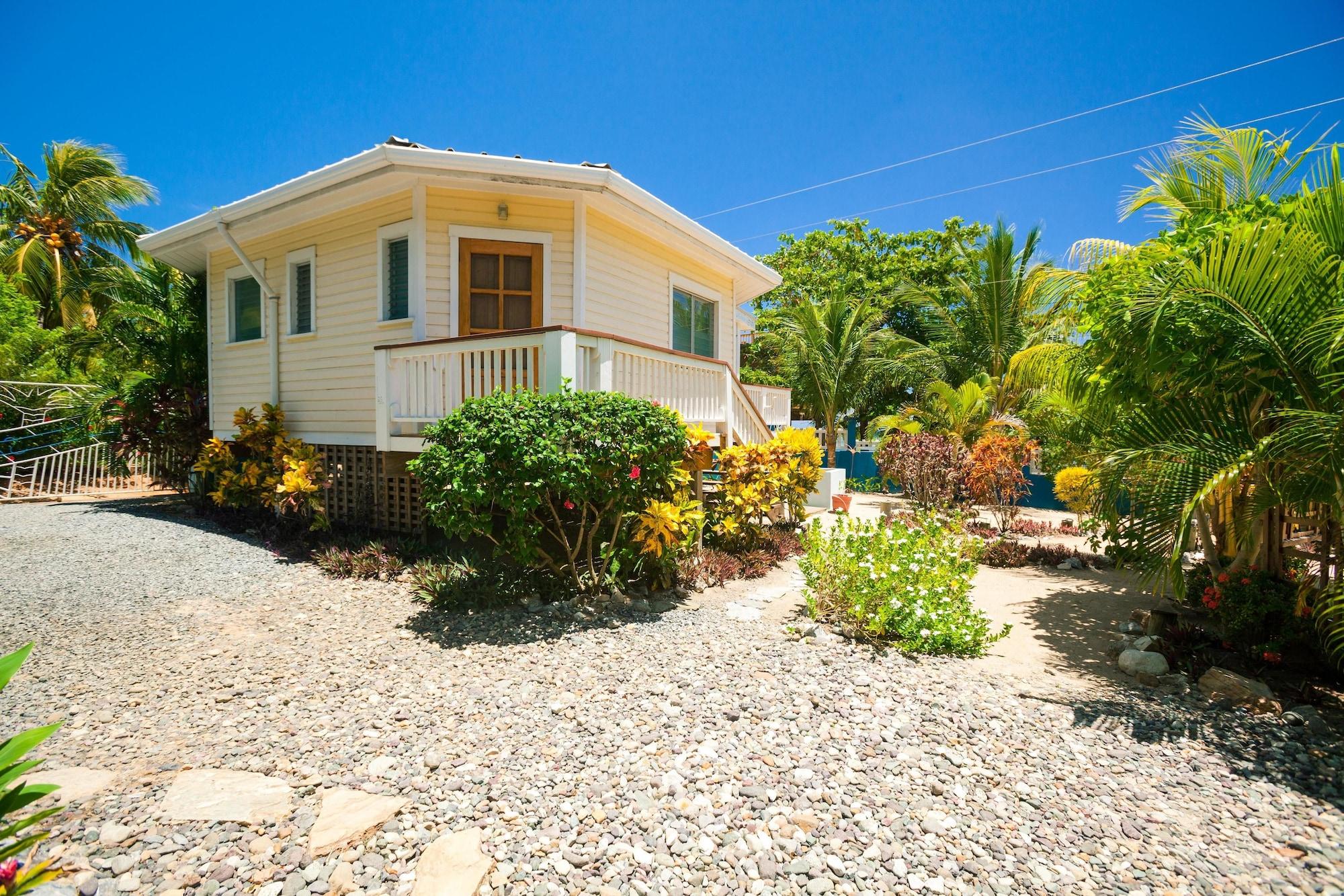 Vista Exterior Sand Dollar