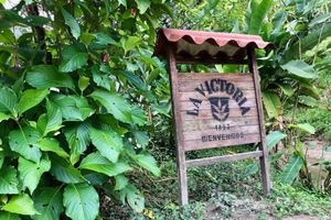 Actividad - Café de Minca y el pozo azul de la Sierra Nevada de Santa Marta