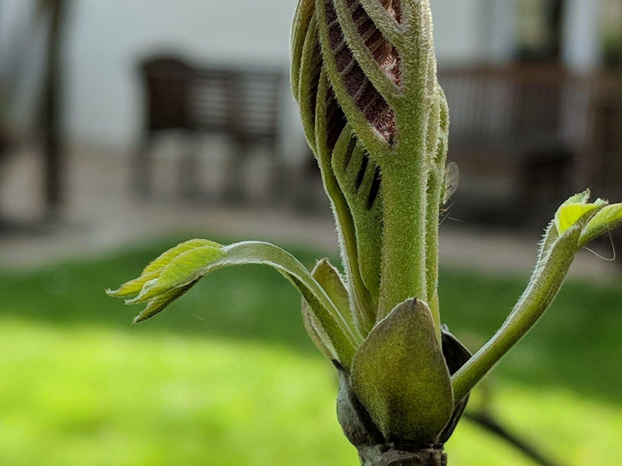 Varios Weirholme Annex